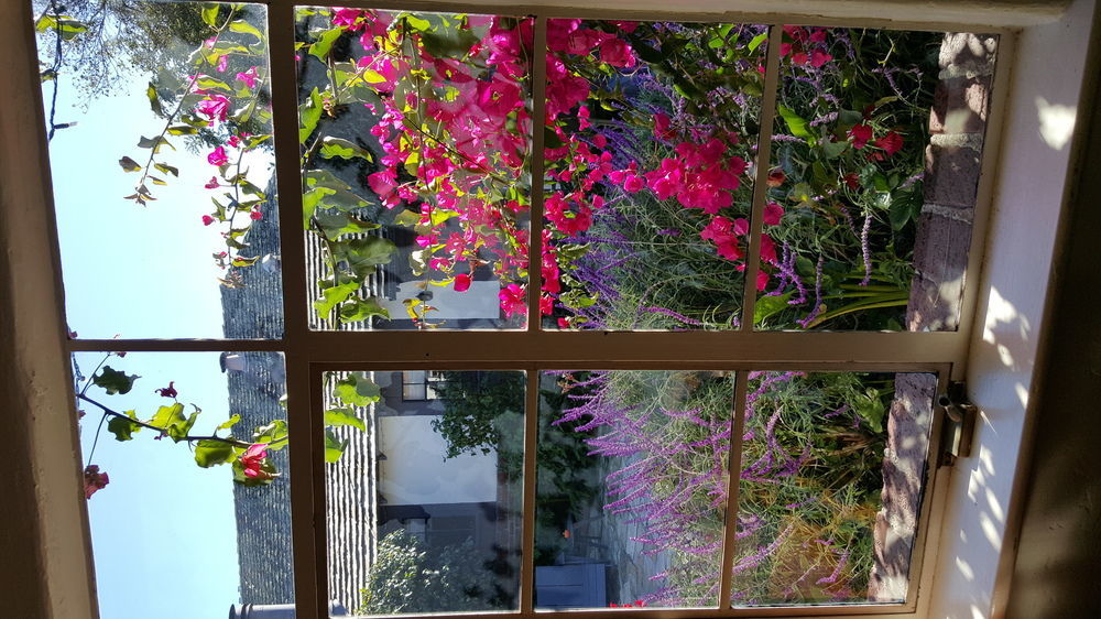 Carmel-by-the-Sea The Vagabond'S House Boutique Inn מראה חיצוני תמונה